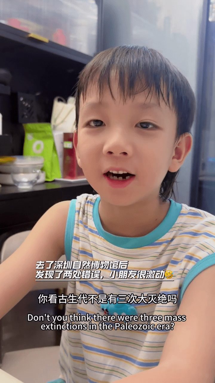 7岁醒目男童点出深圳自然博物馆两大“虾碌”。 小红书