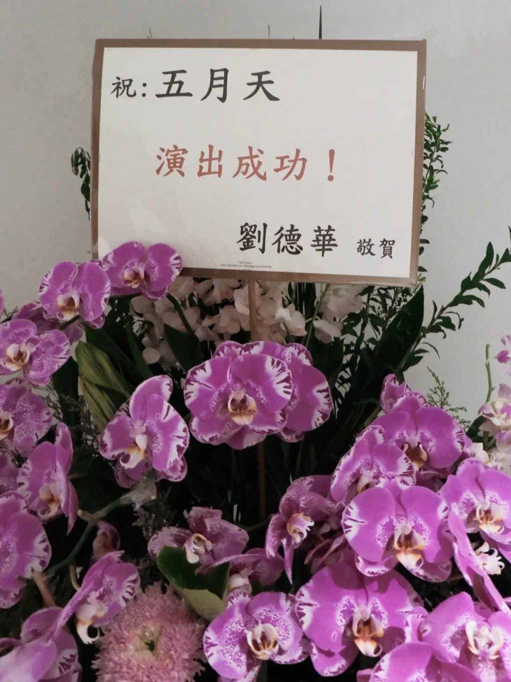 劉德華送花籃祝賀。 劉德華送花籃祝賀。