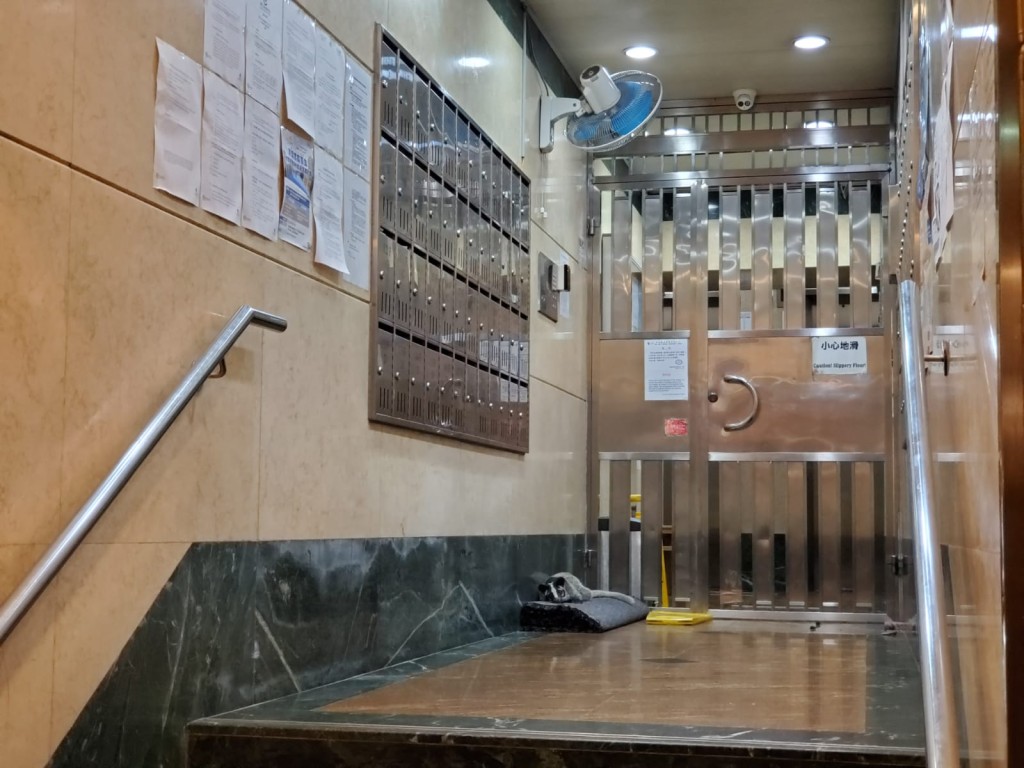 果子狸走到地下大堂閘外休息。