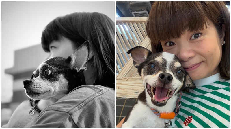 阮小仪13岁爱犬「细佬佬」今晨离世 撰长文忆临终心跳：安然接受这感觉 送别后惊现不可思议事