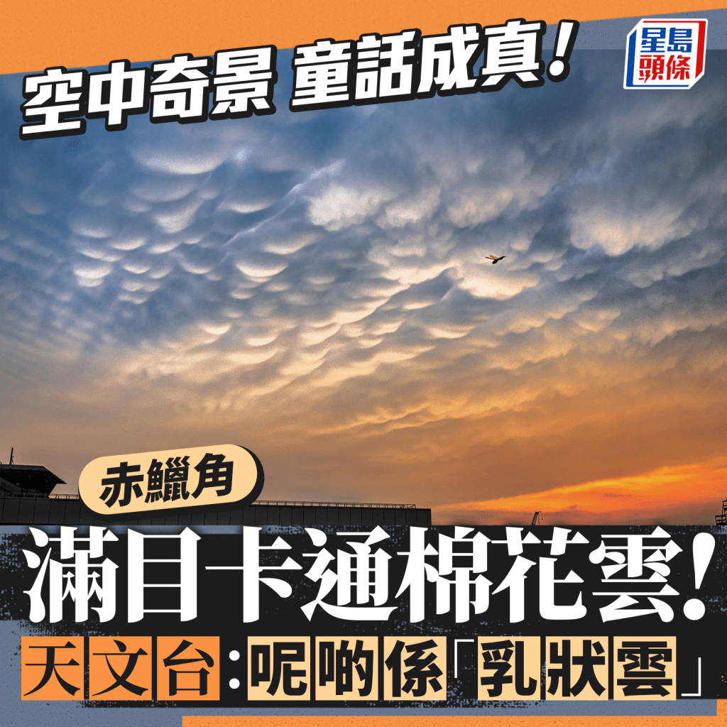 空中奇景 漫天泡泡 赤鱲角滿目卡通棉花雲 天文台：呢啲係「乳狀雲」。圖片授權藍雨洋