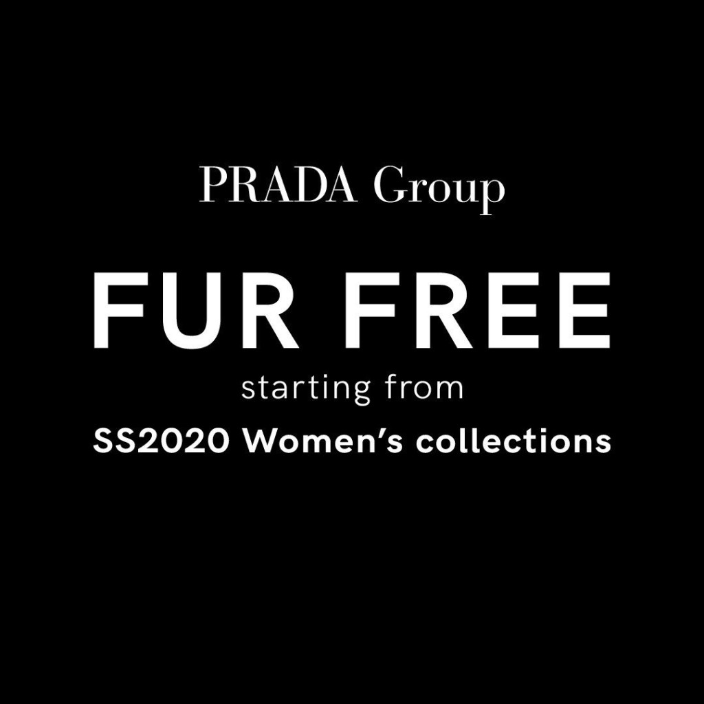 时装品牌Prada宣布2020年起拒用皮草。网上图片
