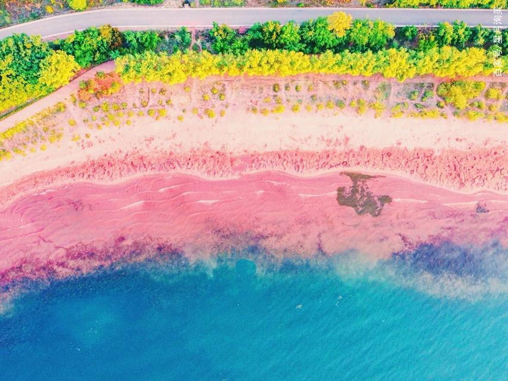 內地網上充斥大量粉紅沙灘的照片和影像。