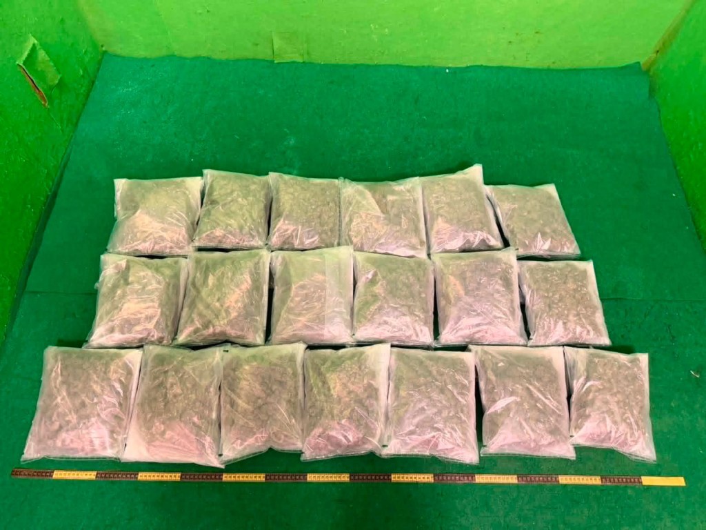 第二宗案件中检获的怀疑大麻花。 第二宗案件中检获的怀疑大麻花。
