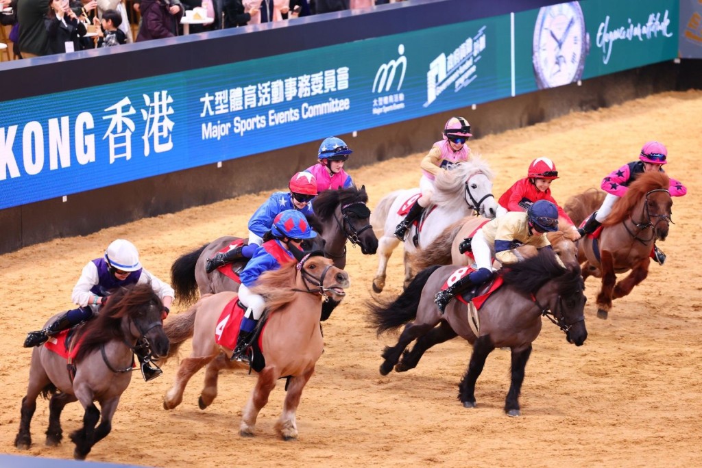 雪特蘭小馬配合少年騎手在迷你賽道比拼，畫面可愛。
