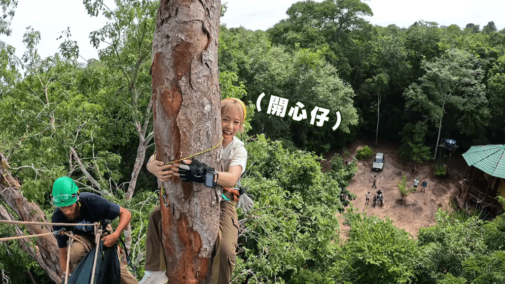 雖然過程係咁喊驚又撞樹，但登頂後即成個生猛晒。