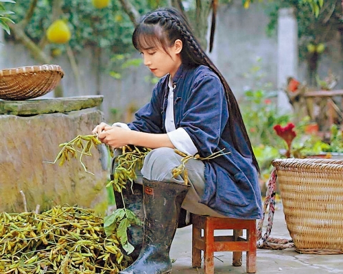 ■李子柒憑藉「古風古食」的田園生活視頻,成為近年最火女網紅。