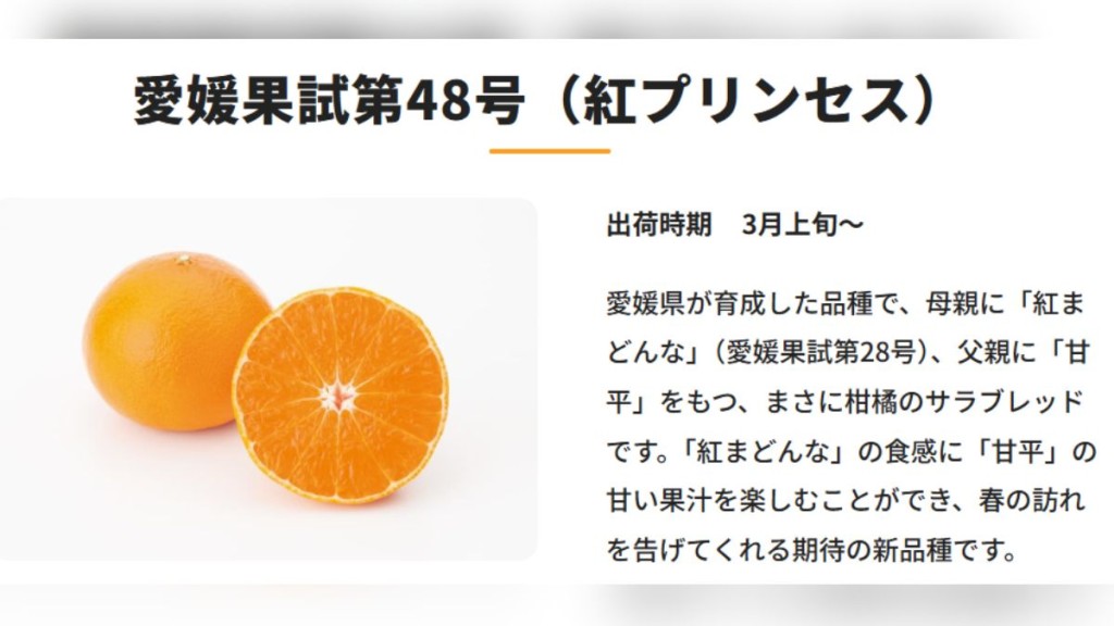 愛媛縣研發高級柑橘品種「紅Princess」樹苗，疑已非法外流至中國。www.kankitsu.aifood.jp