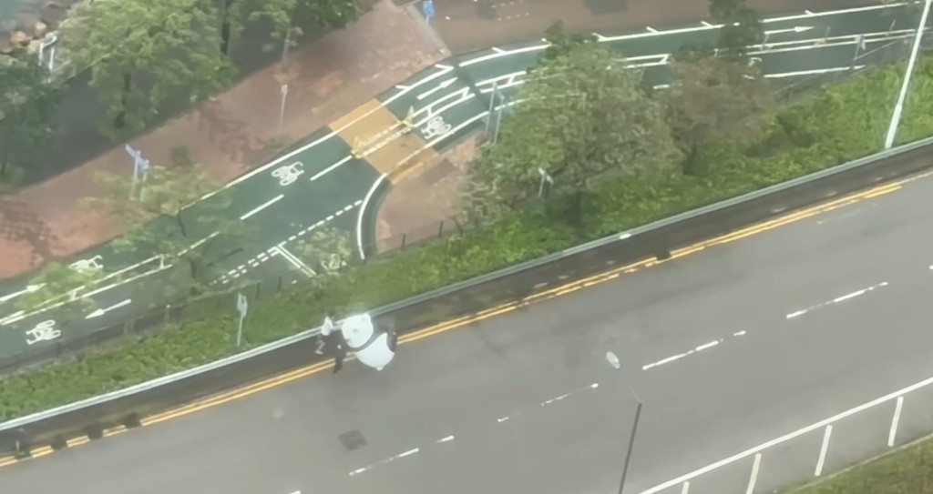 兩名路人從後推背幫忙扶正。fb「將軍澳主場」截圖