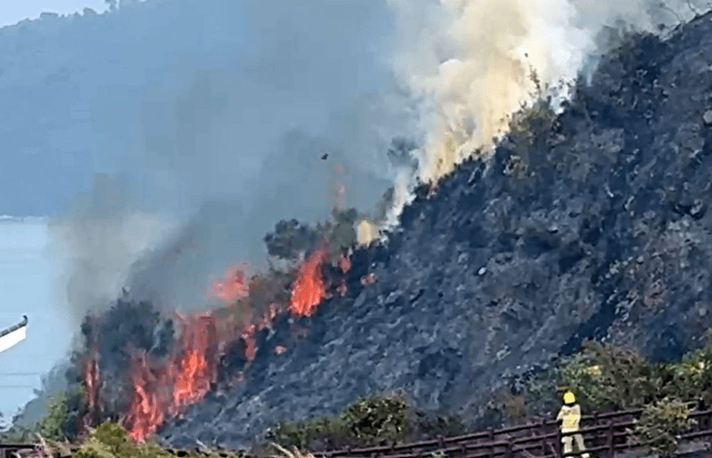 消防到場撲救。網片截圖