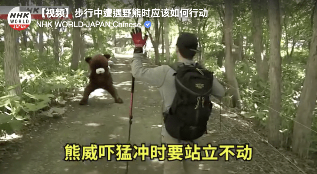 影片提醒,如遠距離發現熊,應立刻停步、保持冷靜,切勿奔跑或拍照挑釁。 影片提醒,如遠距離發現熊,應立刻停步、保持冷靜,切勿奔跑或拍照挑釁。