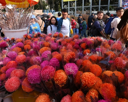 市民一月八日起可以底價租用農曆年宵市場尚餘攤位。資料圖片
