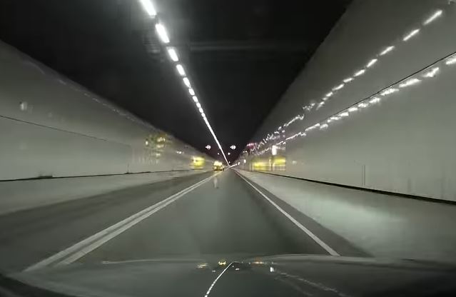 片主車輛前行，便看見一隻唐狗在隧道東奔西跑。網片截圖