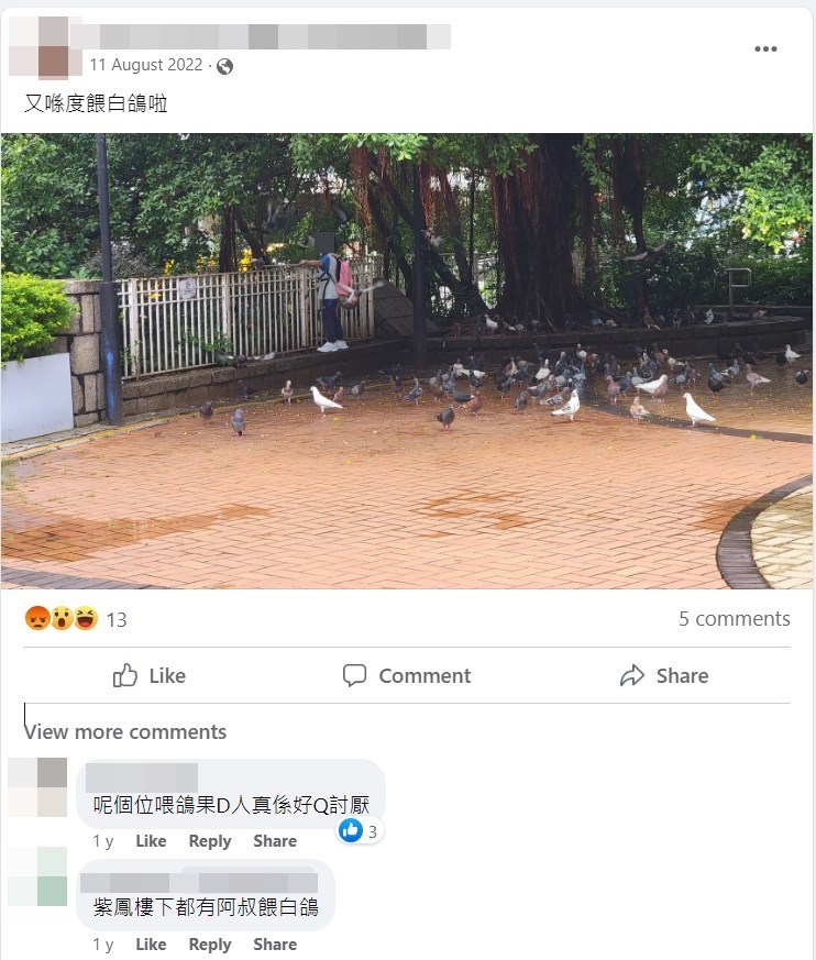 地区facebook专页早年已有网民反映区内有野鸽患。网上截图  ​