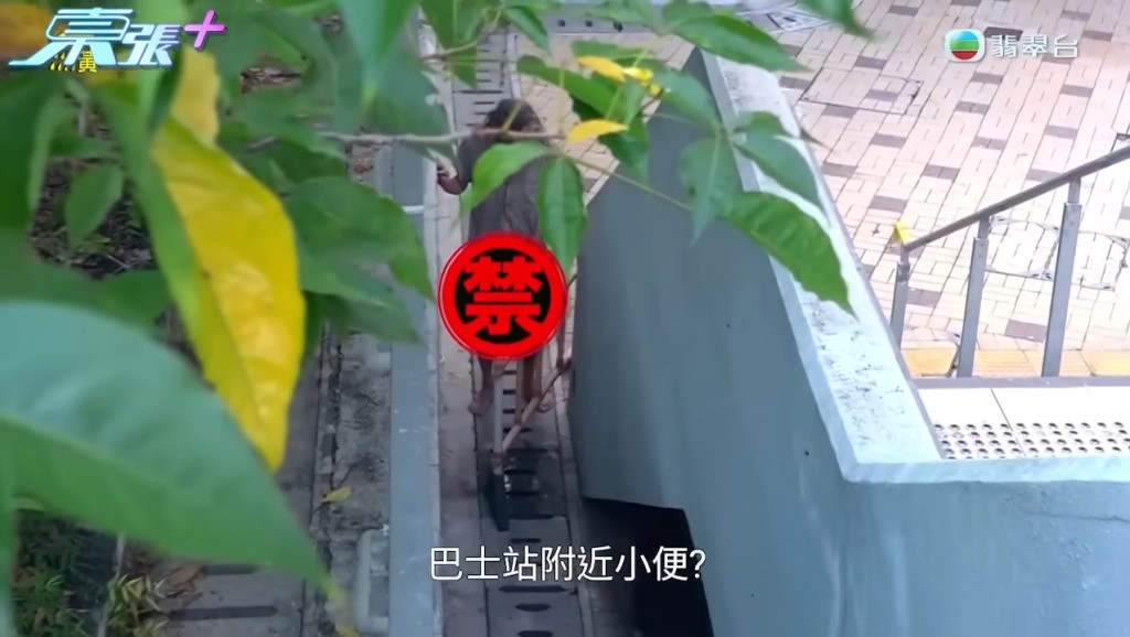 野人爸爸在巴士站小便。
