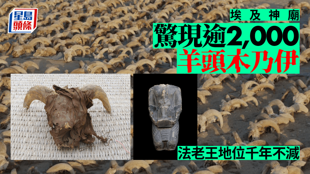 考古人員在拉美西斯二世神廟發現逾2000個公羊頭木乃伊。（Ministry of Tourism and Antiquities@facebook）