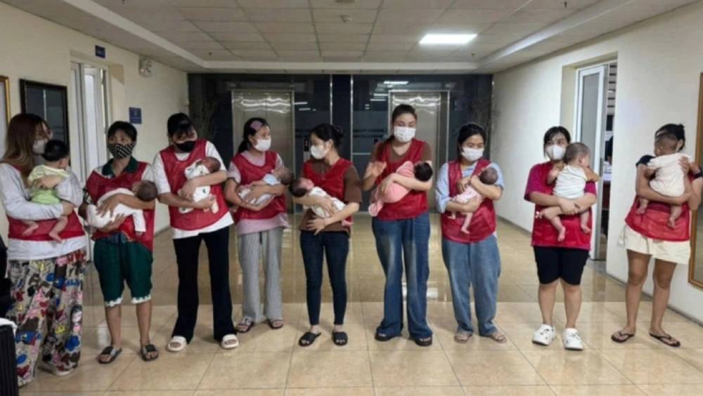 越南搗破中國籍頭目遙控大型代孕集團，救出11嬰。