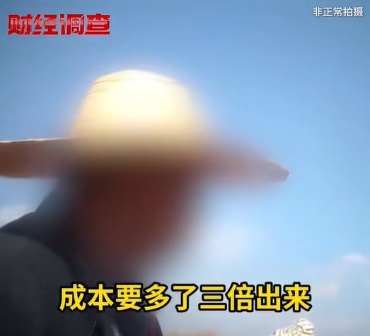 用「禁藥」甲拌磷殺蟲，主要原因是為了控制番薯的生產成本（圖：央視《財經調查》）