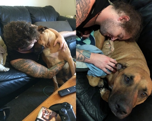 路克生前非常愛鍚Major。Jasmine Nadin fb　