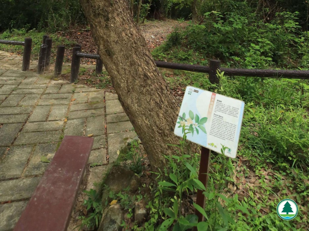 親子一小時易行行山路線：泥涌自然步道（圖片來源：郊野樂行）