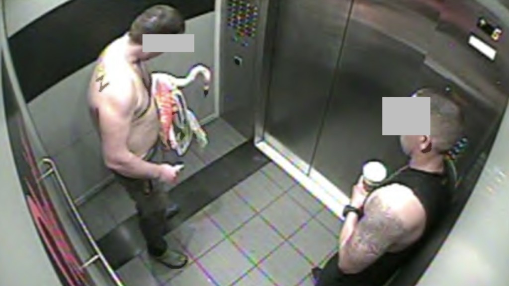 费尔巴恩从栖息地抓走红鹤带入酒店。 LVMPD