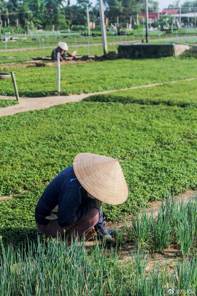 方大同已两年没有更新过Facebook，在微博亦只是在2023年发出新年恭贺帖文及一则澄清启事，指绝非外界传出他转从事农业，但未见他有任何工作安排。