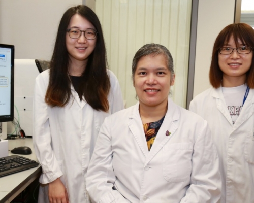 中大醫學院研究發現B細胞可預測多種癌症存活期。中大醫學院