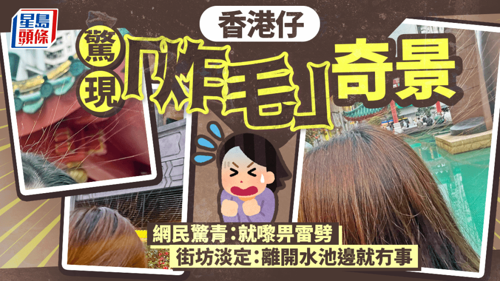 香港仔驚現「炸毛」奇景 路人行過頭髮豎起 網民憂畀雷劈 街坊淡定：離開水池邊就冇事｜Juicy叮