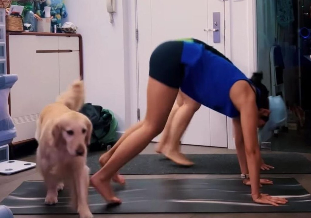 梁諾妍做運動期間愛犬亂入好搞笑。