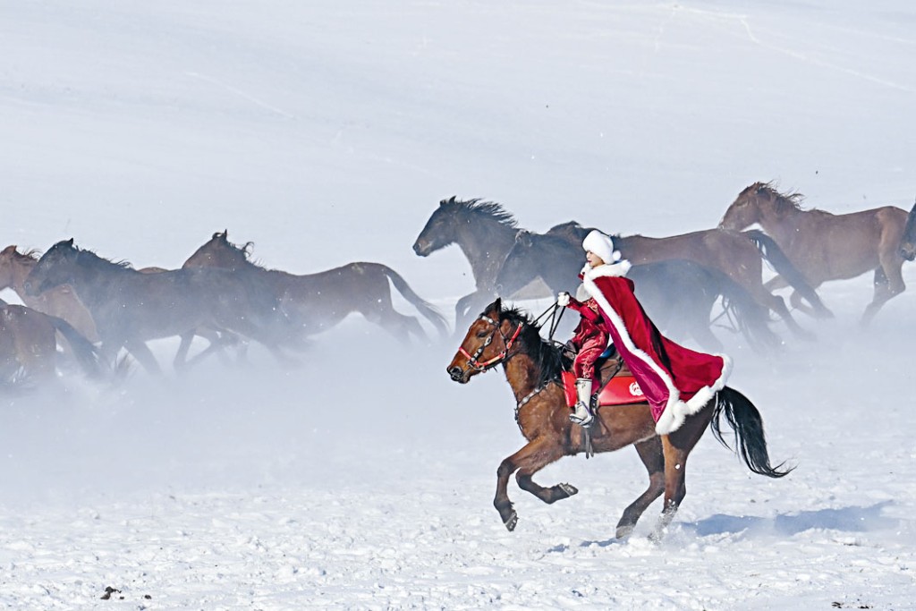 賀嬌龍策馬雪原,宣傳家鄉旅遊。 賀嬌龍策馬雪原,宣傳家鄉旅遊。