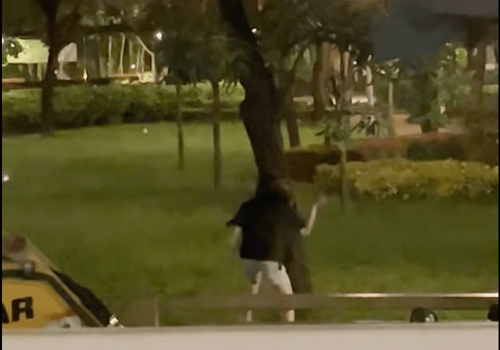 一名穿黑衣女子疑手持菜刀在公園內狂劈樹木。網上片段截圖