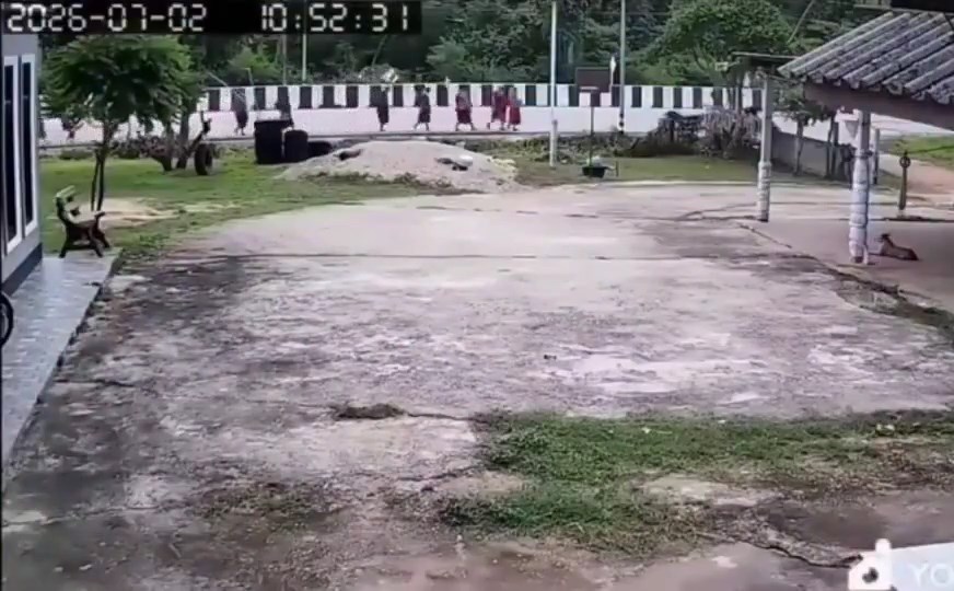閉路電視拍下僧侶被貨車撞倒的情景。X@Berita.Viral.Update 閉路電視拍下僧侶被貨車撞倒的情景。X@Berita.Viral.Update
