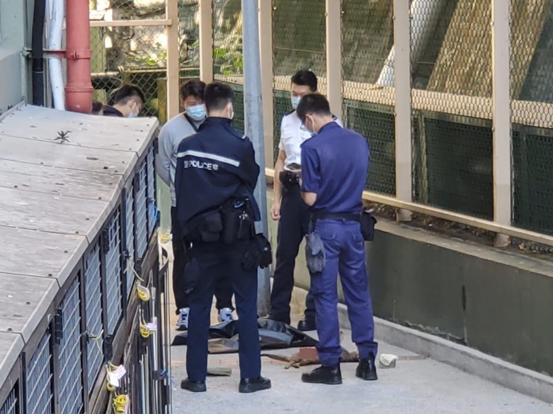 警員到場以帆布遮蓋貓屍。林思明攝
