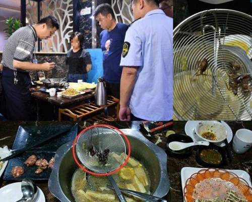 兩位食客先後撈出8隻蟑螂,報警及投訴處理。(網圖)
