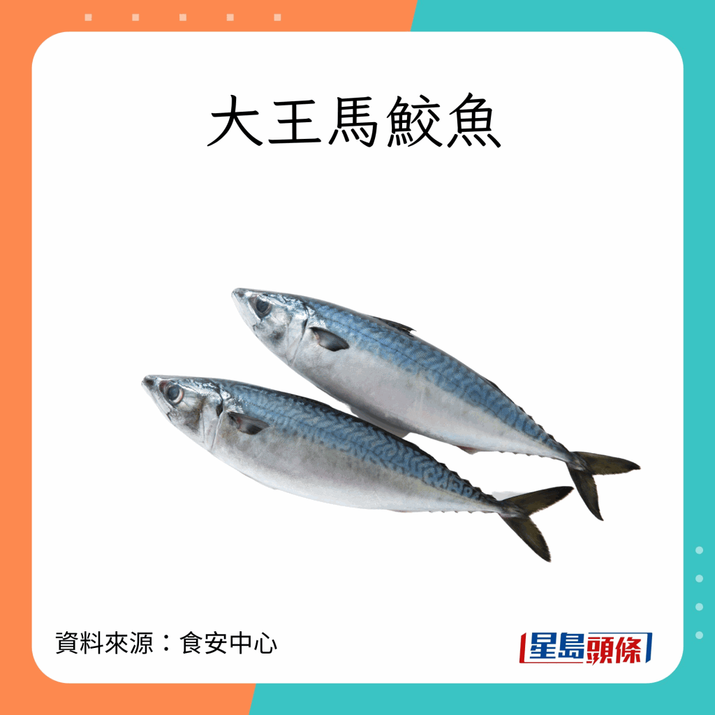 水銀含量較高的魚類
