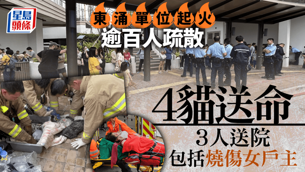 東涌單位起火 女戶主燒傷4貓送命 逾百人疏散另兩女不適送院
