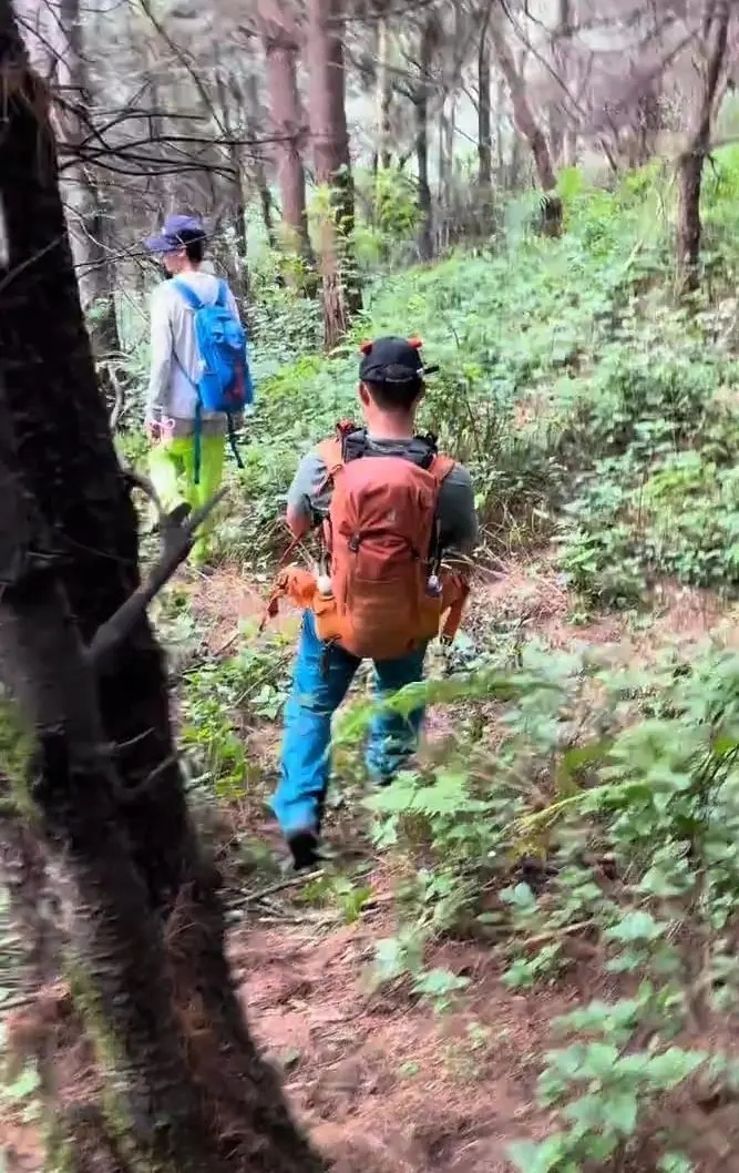 大批義工上山搜救。 大批義工上山搜救。