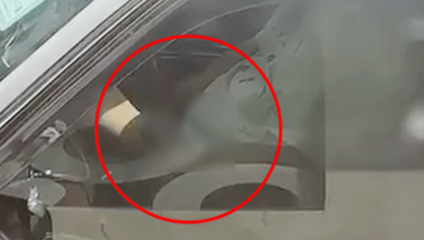 影片看到一名的士司機將車泊在的士站內，他疑似在車廂內自凟。