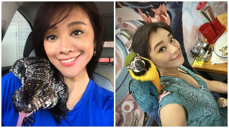 郭秀雲座駕被毀丨豪門千金為救動物花百萬  曾救雀被鬧「八婆」 助宏福苑災民安撫受驚小狗