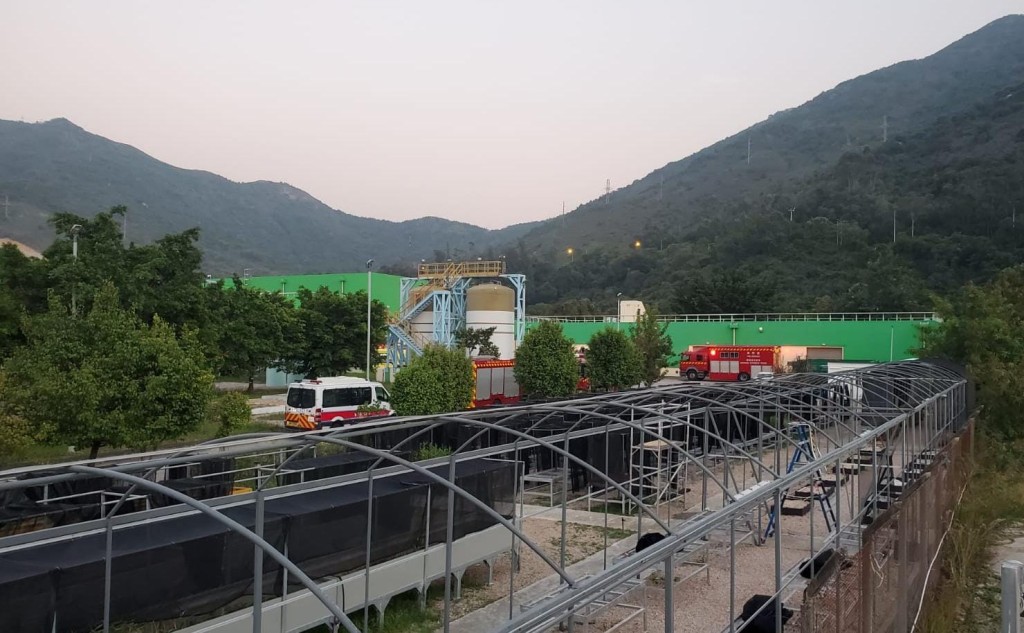 多部消防車在污水處理廠內戒備。