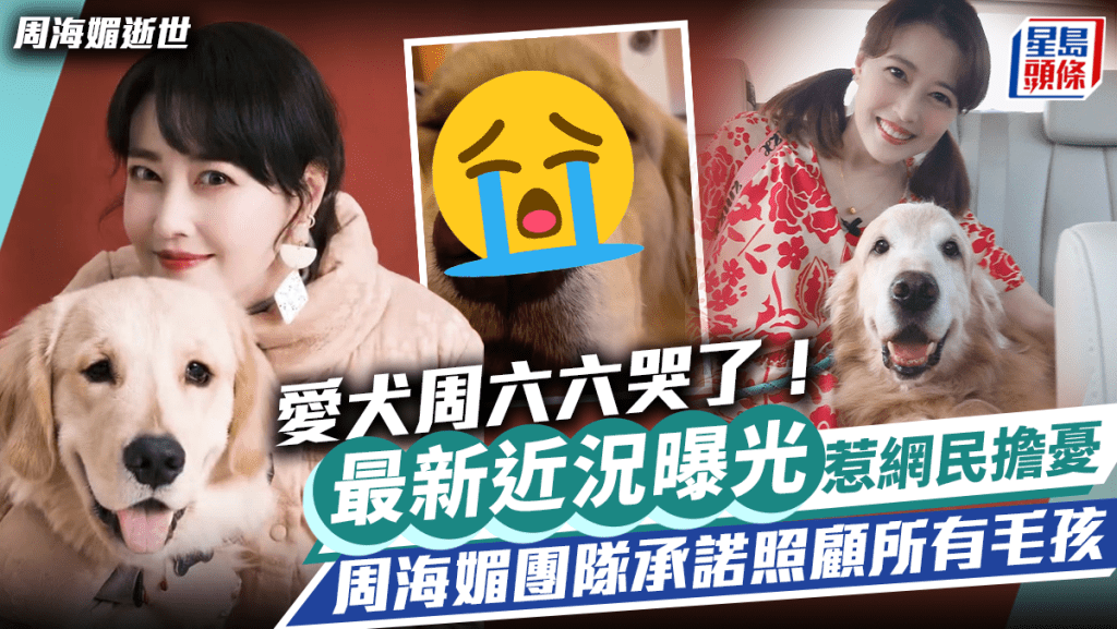 周海媚逝世丨愛犬周六六哭了！ 最新近況曝光惹網民痛心 周海媚團隊承諾竭盡全力照顧