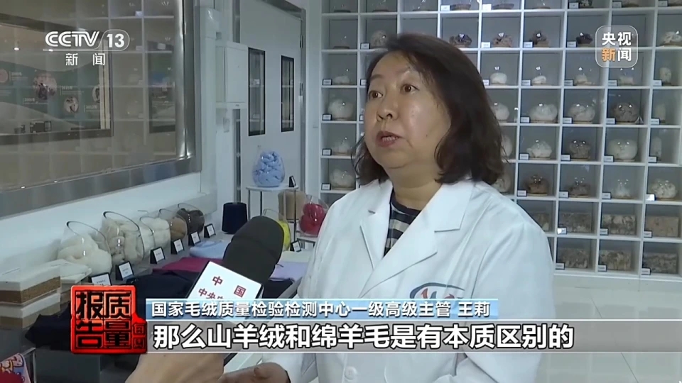 央視曝光「綿羊絨」偽概念:標註「綿羊絨」的衣服實際一根羊絨都沒有,商家將羊毛甚至化纖原料冠以「綿羊絨」名義銷售。央視 央視曝光「綿羊絨」偽概念:標註「綿羊絨」的衣服實際一根羊絨都沒有,商家將羊毛甚至化纖原料冠以「綿羊絨」名義銷售。央視