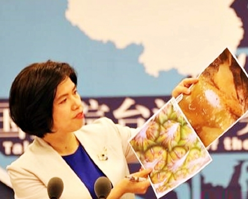 國台辦指大陸向台灣書面通報的28批菠蘿不合格情況均有據可查。網上圖片
