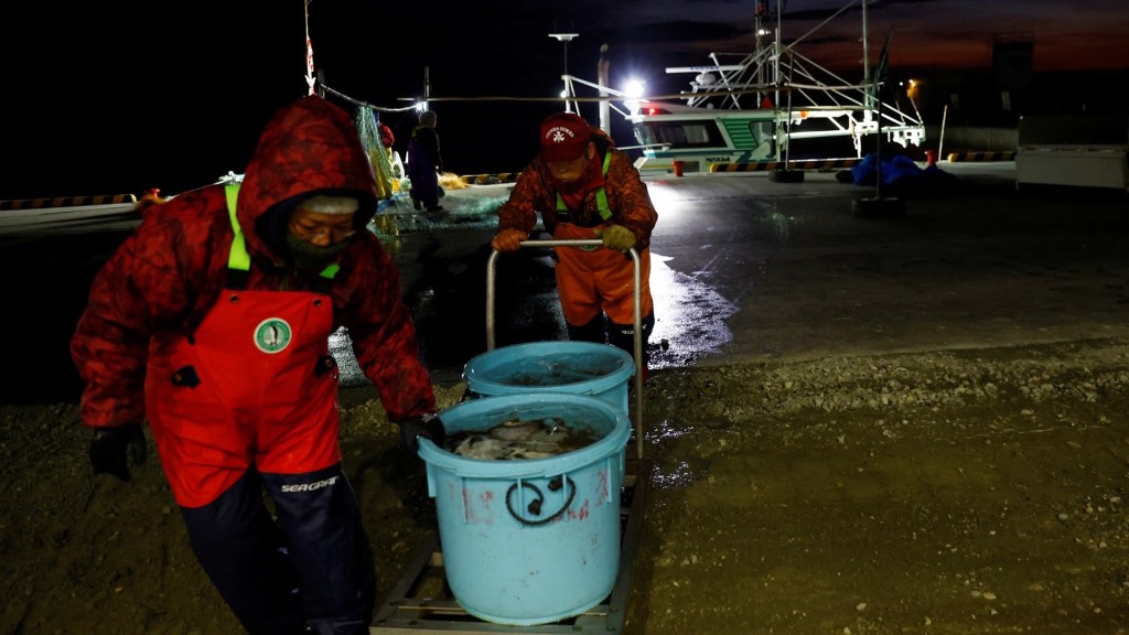 日本漁民在福島第一核電站附近的漁港整理魚獲。 路透社