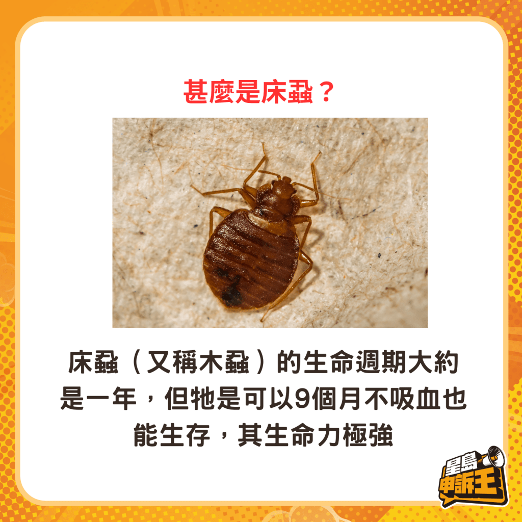 床虱（又称木虱）的生命周期大约是一年，但它是可以9个月不吸血也能生存，其生命力极强