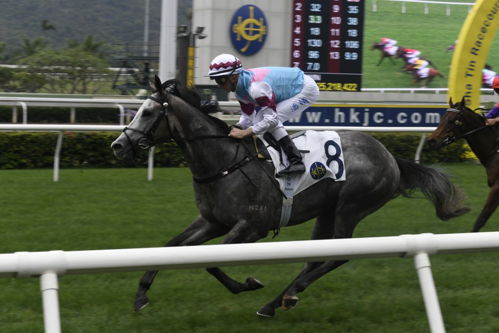 「紅逸舍」一出即勝,今次轉場力爭在港第二場頭馬。 「紅逸舍」一出即勝,今次轉場力爭在港第二場頭馬。