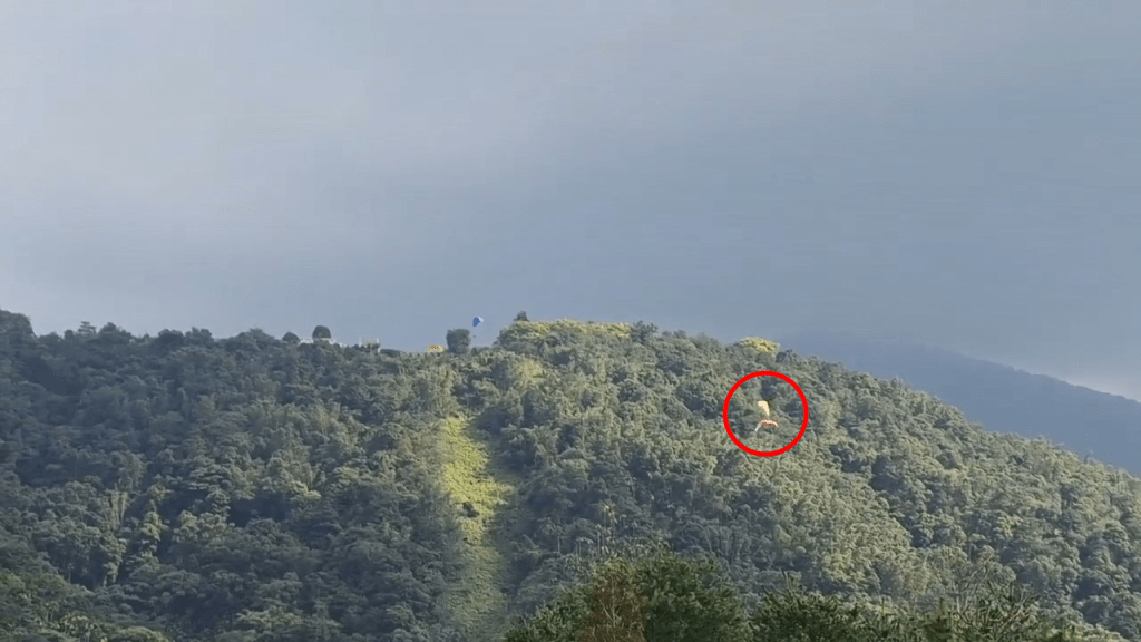 一名香港遊客昨日在台灣南投玩滑翔傘時,在半空撞到一名台灣遊客的滑翔傘,兩人墜落樹林中沒有受傷。fb「爆料公社公開版」范世緯片段截圖 一名香港遊客昨日在台灣南投玩滑翔傘時,在半空撞到一名台灣遊客的滑翔傘,兩人墜落樹林中沒有受傷。fb「爆料公社公開版」范世緯片段截圖