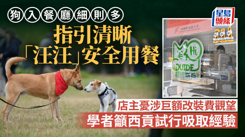 每日雜誌｜狗入餐廳細則多  指引清晰「汪汪」安全用餐  店主憂涉巨額改裝費觀望  學者籲西貢試行吸取經驗