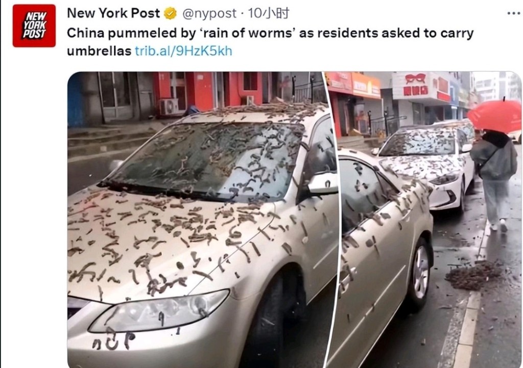 紐約郵報稱中國遭受「蟲雨」來襲，形容是生物災難。 網圖