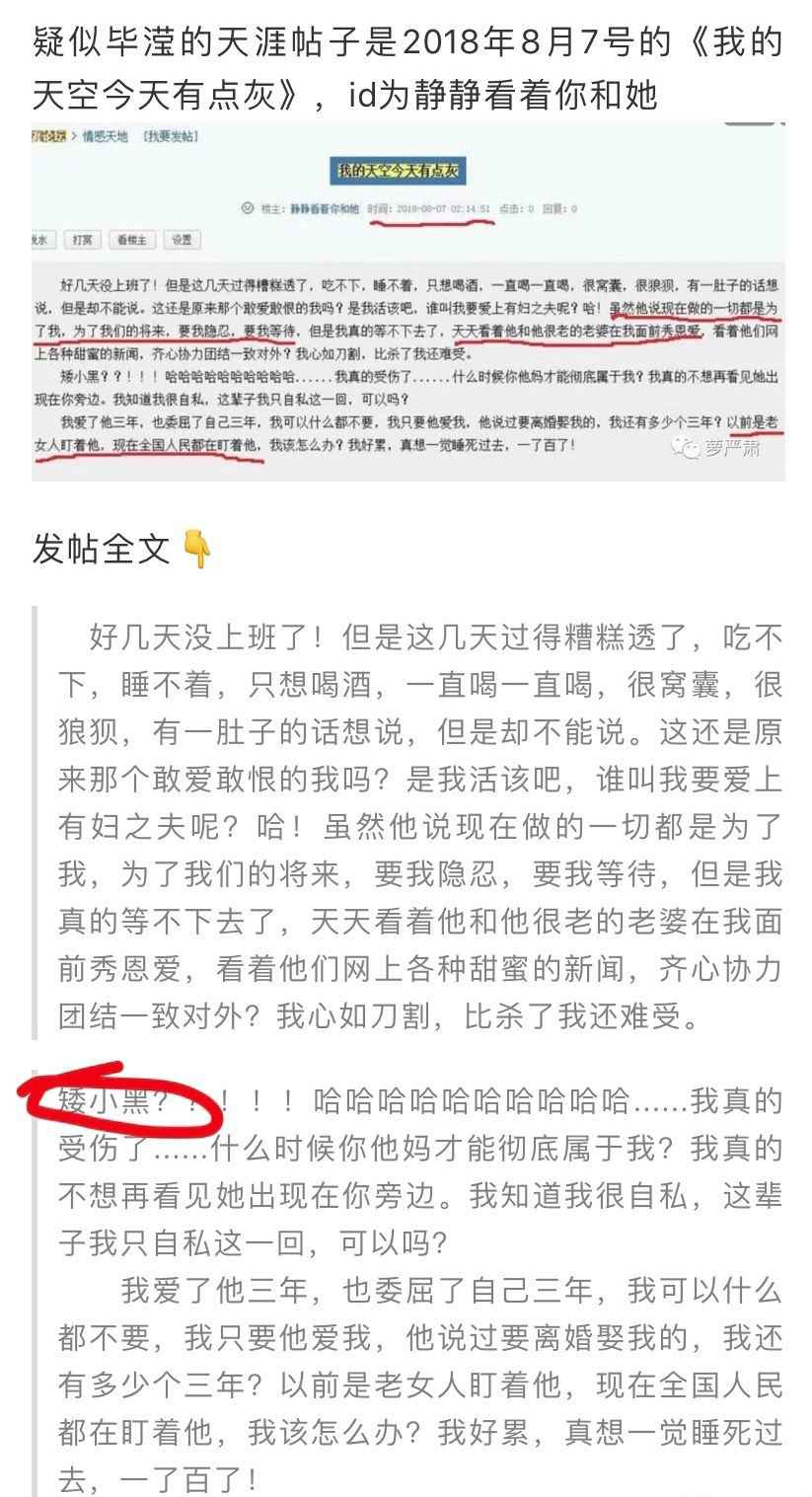 疑似畢瀅在論壇的文章。(網圖)